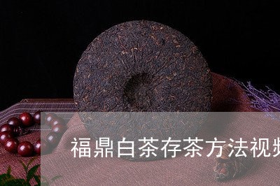 福鼎白茶存茶方法视频播放/2023041794038