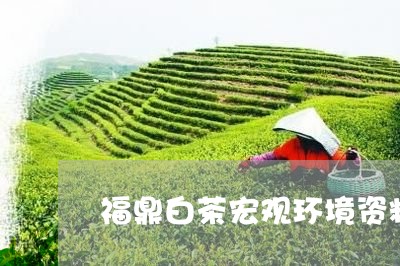 福鼎白茶宏观环境资料包括/2023041701705