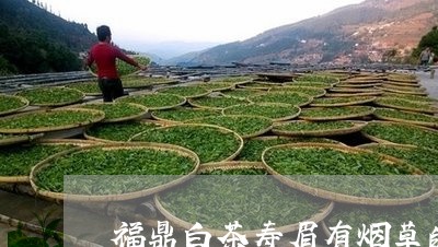 福鼎白茶寿眉有烟草的味道/2023041772815