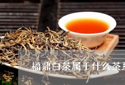 福鼎白茶属于什么茶系的茶/2023041740484