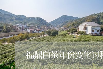 福鼎白茶年份变化过程视频/2023041748382