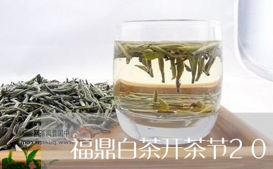 福鼎白茶开茶节2022年/2023033062818