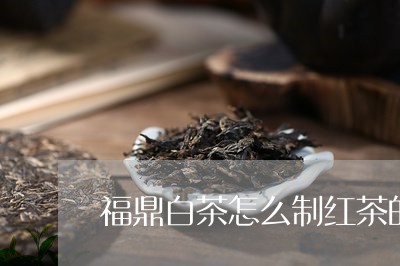 福鼎白茶怎么制红茶的视频/2023041740716