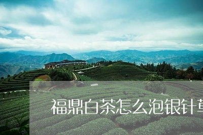 福鼎白茶怎么泡银针草视频/2023041785050