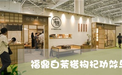 福鼎白茶搭枸杞功效与作用/2023041798592