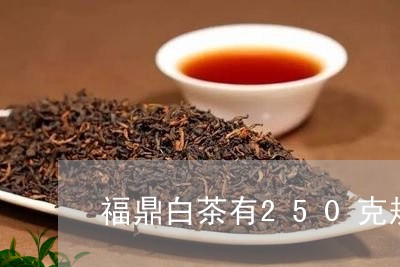 福鼎白茶有250克规格吗/2023033057939