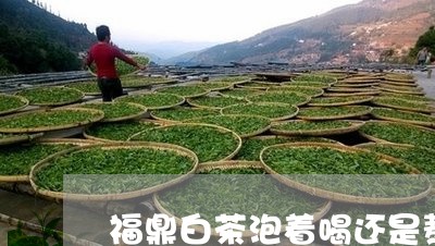 福鼎白茶泡着喝还是熬着喝/2023041789714