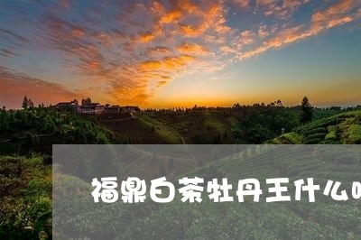 福鼎白茶牡丹王什么味道好/2023041771472