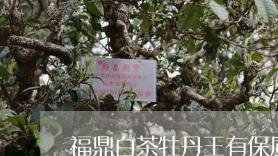 福鼎白茶牡丹王有保质期吗/2023041772805