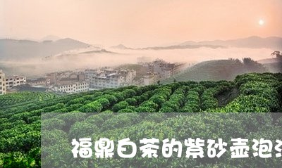 福鼎白茶的紫砂壶泡法图解/2023041748361