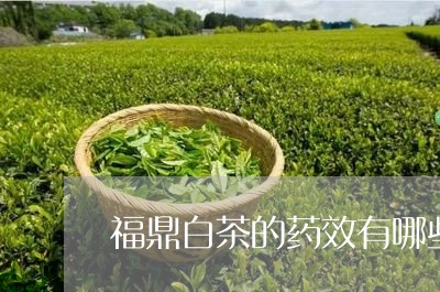 福鼎白茶的药效有哪些功效/2023041768389