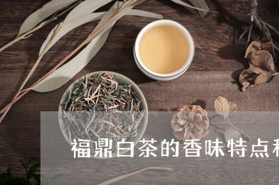 福鼎白茶的香味特点和口感/2023041705959