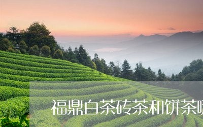 福鼎白茶砖茶和饼茶哪个好/2023041782715