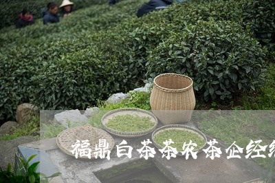 福鼎白茶茶农茶企经纪人/2023032734826