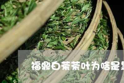 福鼎白茶茶叶为啥是黑色/2023032749395