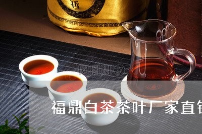 福鼎白茶茶叶厂家直销店/2023032768470