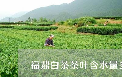 福鼎白茶茶叶含水量多少/2023032707269