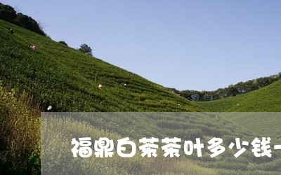 福鼎白茶茶叶多少钱一斤/2023032712838