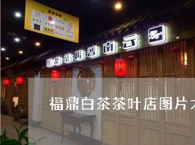 福鼎白茶茶叶店图片大全/2023032780282