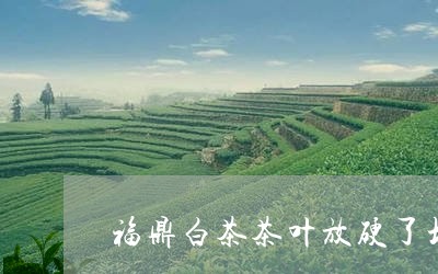 福鼎白茶茶叶放硬了坏吗/2023032789361