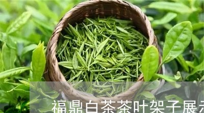 福鼎白茶茶叶架子展示架/2023032716274