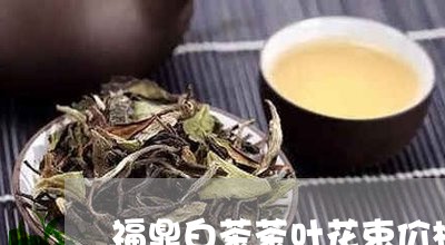 福鼎白茶茶叶花束价格表/2023032736262