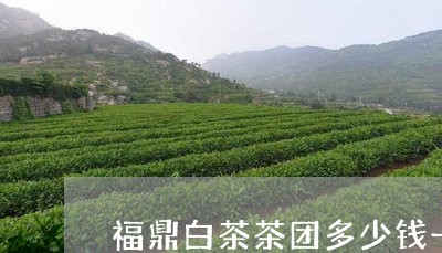 福鼎白茶茶团多少钱一斤/2023032759480