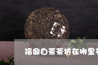 福鼎白茶茶坊在哪里买到/2023032734808