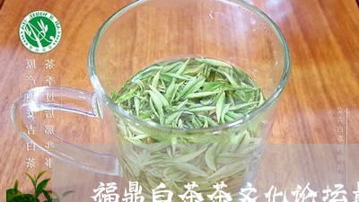 福鼎白茶茶文化论坛最新/2023032768461