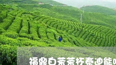 福鼎白茶茶杯泰迪能喝吗/2023032735058