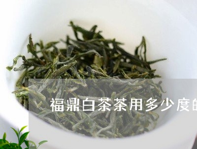 福鼎白茶茶用多少度的水/2023032732603