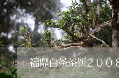 福鼎白茶茶饼2008年的/2023033106250