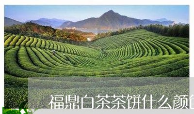 福鼎白茶茶饼什么颜色好/2023032796269