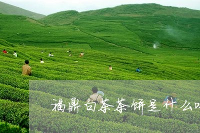 福鼎白茶茶饼是什么味道/2023032743916