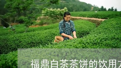 福鼎白茶茶饼的饮用方法/2023032743807