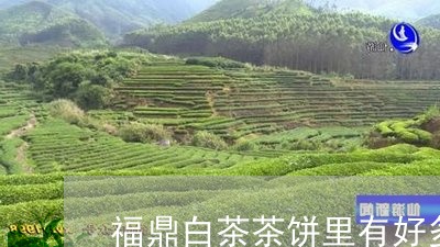 福鼎白茶茶饼里有好多梗/2023032748593