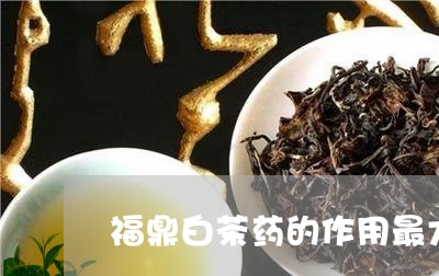 福鼎白茶药的作用最大吗/2023032727351