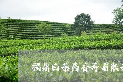 福鼎白茶药香寿眉散茶叶/2023032768381