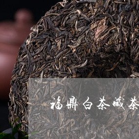 福鼎白茶藏茶水分几个点/2023032767049