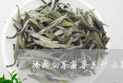 福鼎白茶蜜茶是什么茶类/2023032725050