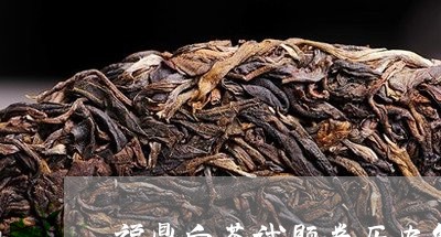 福鼎白茶试题卷历史解析/2023032722925