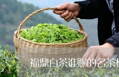 福鼎白茶谁赐的名茶杯好/2023032751706