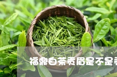 福鼎白茶贡眉是不是贡茶/2023032790615