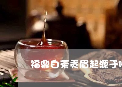 福鼎白茶贡眉起源于哪里/2023032767352