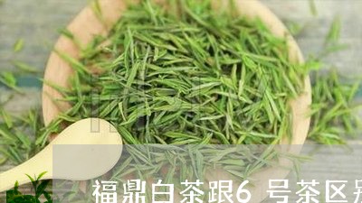 福鼎白茶跟6号茶区别在哪/2023033003839