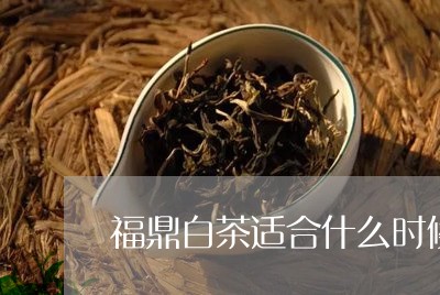 福鼎白茶适合什么时候喝/2023032777361