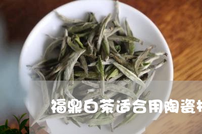 福鼎白茶适合用陶瓷杯吗/2023032772724