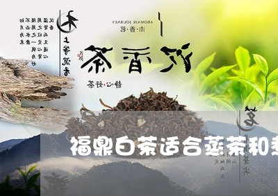 福鼎白茶适合蒸茶和煮茶/2023032741846