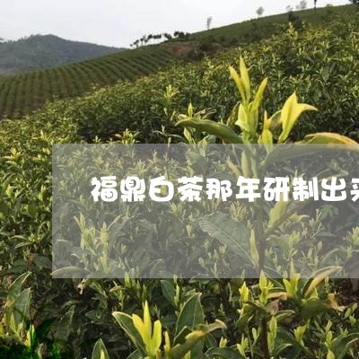 福鼎白茶那年研制出来的/2023032795149