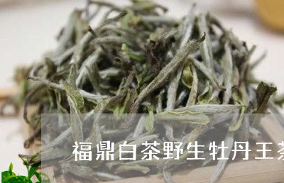 福鼎白茶野生牡丹王茶饼/2023032773040